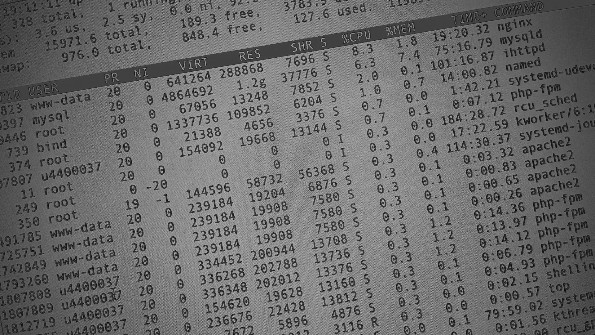 Настройка сервера в Тайге